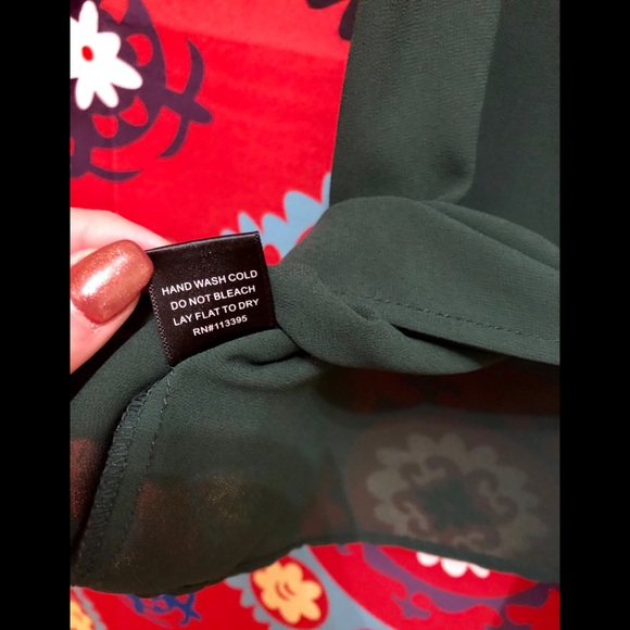 Banana Republic Sheer Blouse - Picture 7 of 8